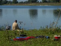 NL, Noord-Brabant, Lith, Lithse Ham 16, Saxifraga-Jan van der Straaten